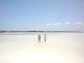 isla holbox 1 isla holbox 1
