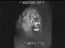 MiSt£r JO MiSt£r JO