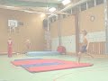 Team Flashkick Pelle Sampler