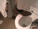 Japanese Toilet 2