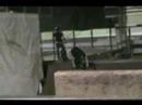 josh eilken video