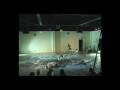 videos de LR