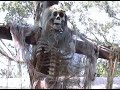 short video showing off a neighbor's decorations for halloween. edited to the moody, foreboding music of jerry goldsmith. can you guess which movie the music is from?