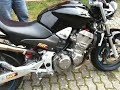 Hornet 900