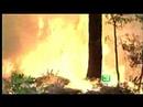 Firefighters-Face-Di