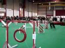 Lu�s Miguel / Butty numa prova de Agility