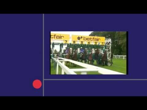 racing results cheltenham