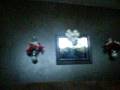 videos de frontflip