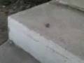 videos de mi familia y yo en la playa