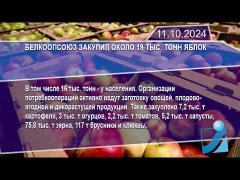 Новостная лента Телеканала Интекс 11.10.24.