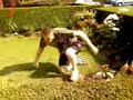 hedge jump winsford