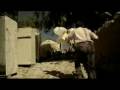 TheBeerBox VideoFile |  Dominoe Guinness