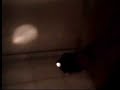 Aparicion de Virgen de Guadalupe ( real )