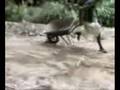 Funny BMW 330CI Drift In Benghazi احلا تمتيع الكسااااااد