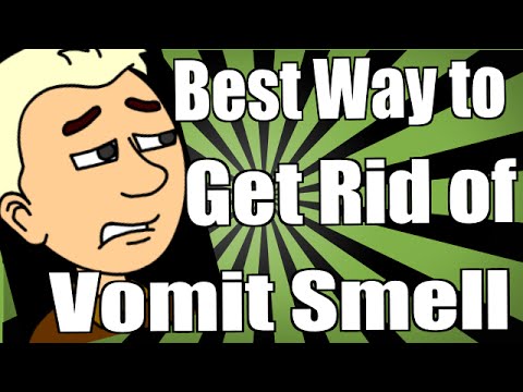 how to remove vomit smell