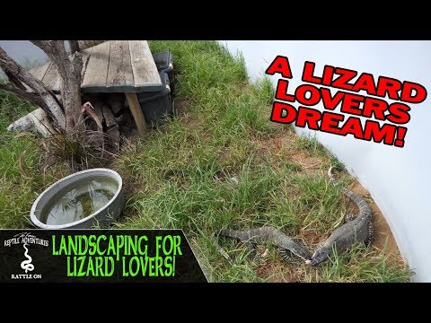 YouTube reptile video