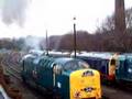 D9009 and 55019 fireup