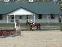 HUNTER MARE