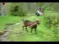 Goat yelling like a man Remix- Usher Edition