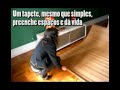 Patrulha da Decoração - Dicas para pintura - Gloss - Jul2008