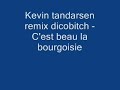 kevin tandarsen remix discobitch - c'est beau la bourgoisie
