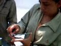 mantenimiento preventivo de genesis