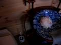 videos de Thanksgiving on the Homestead Part # 4