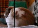 Bunzy Cam 3