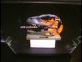 Augmented Paleontology Part 1