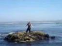 videos de Chrystal.3gp