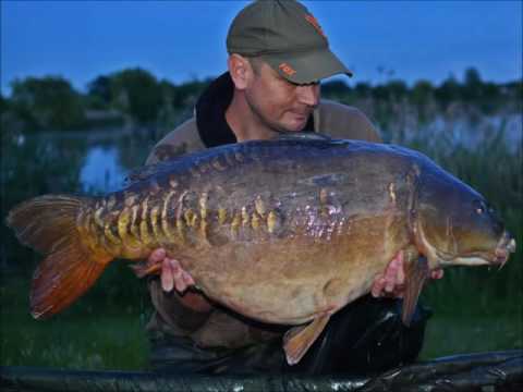XL Carp Video