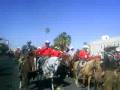 cabalgata 2008