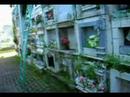 cemetery drive