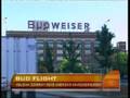 Budweiser's Belgian Buyout