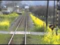 いすみ鉄道でGO! 菜の花列車の旅