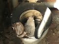 Packard Plant Exploration part 1