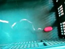 (uploaded by jonathanm)&nbsp;bodymassager in action