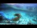 Are Mermaids Real | Woman Underwater Modeling | Little ...