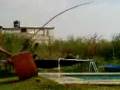 videos de chinito sane