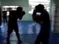 tate vs akbarh entram gym