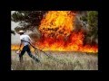 Raging Wildfires Force Evacuation Of Two ...