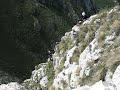 tiolda