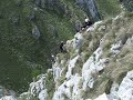 tiolda