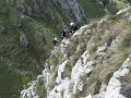 tiolda