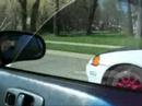 BURRO CIVIC SI \"TEAM DTP\"