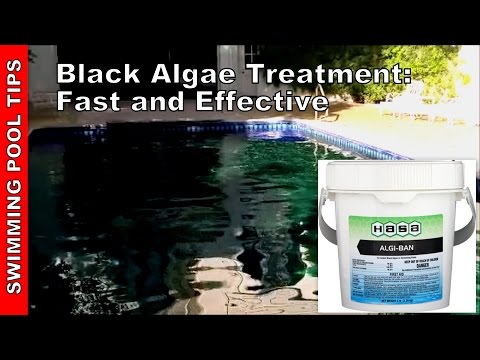 how to eliminate algae from a pool