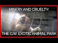 Misery and Cruelty at GW Exotic Animals Memorial Park in Oklahoma: A PETA Investigation
