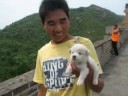 Great Wall China Jinsanling Simatai