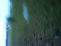 videos de Underbar