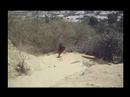 Running Raw: Runyan Canyon, Los Angeles 6/10/07